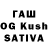 БУТИРАТ BDO Sasha Savtcova
