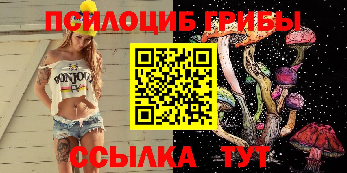 Галлюциногенные грибы прущие грибы Тавда