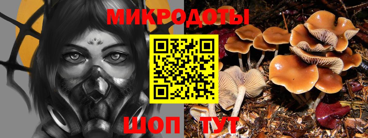 Тавда  Галлюциногенные грибы прущие грибы  Псилоцибиновые грибы MAGIC MUSHROOMS  Вход с VPN 