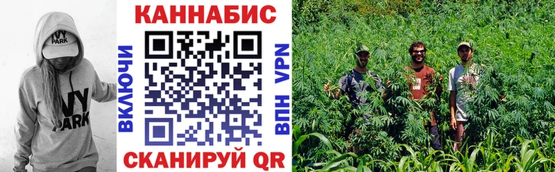 Бошки Шишки AK-47 купить сайты Тавда