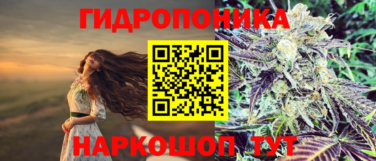 Канабис гибрид Тавда